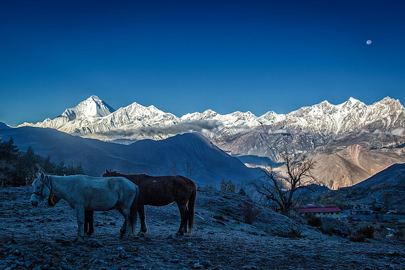 Mustang Nepal trekking