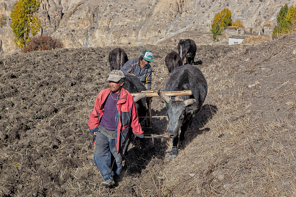 Mustang Nepal trekking